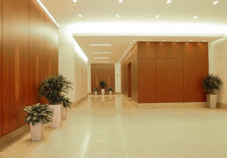 Wall Paneling